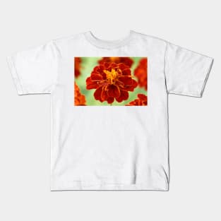 Tagetes patula &#39;Red Cherry&#39; French marigold Kids T-Shirt